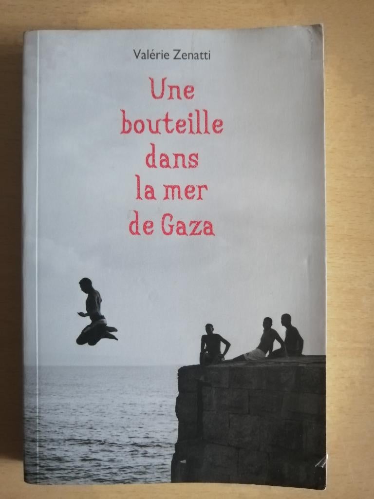 Une bouteille dans la mer de Gaza de Valérie Zenatti, Livres, Enlèvement ou Envoi