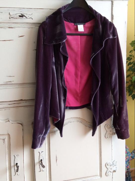 Jasje van Ines Raspoort. Medium, fluweel, Nieuw