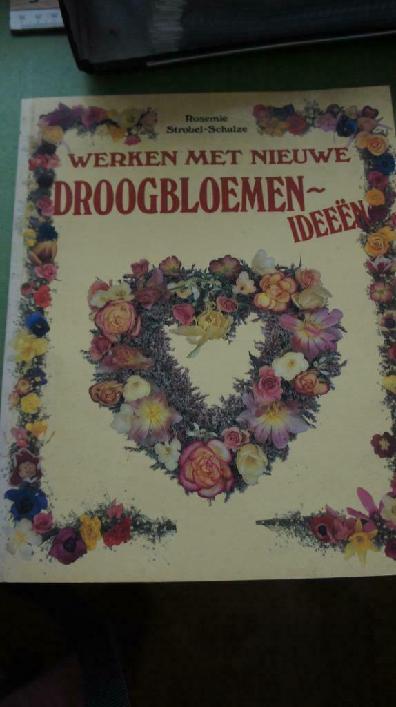 Werken met nieuwe droogbloemen-ideeën, Ophalen of Verzenden, Gelezen, Overige onderwerpen