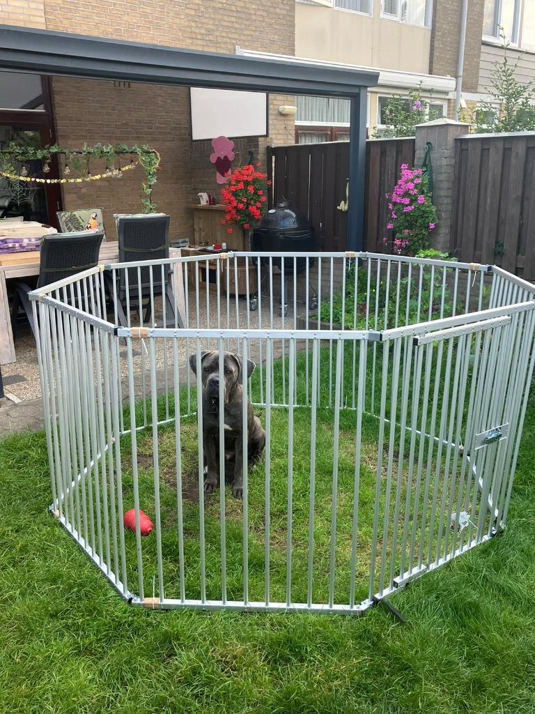 Puppyren Hondenren Aluminium Opvouwbaar 8x60 cm 63 Hoog, Dieren en Toebehoren, Ophalen of Verzenden, Nieuw