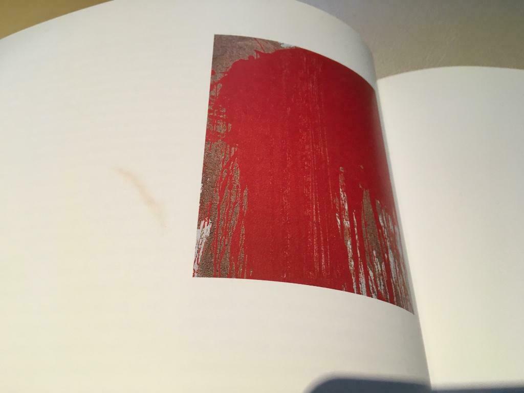 Hermann Nitsch Kowanz Grubinger 45pag actionpainting, Ophalen of Verzenden, Zo goed als nieuw, Schilder- en Tekenkunst