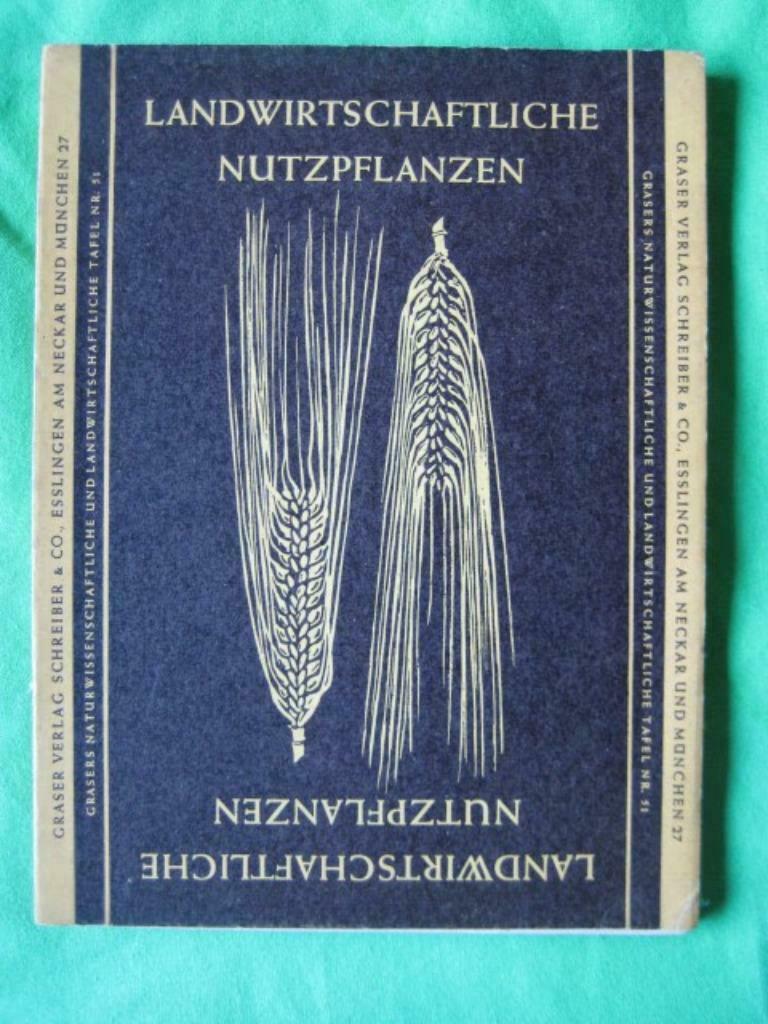 Landwirtschaftliche nutzpflanzen, Livres, Santé, Diététique & Alimentation, Enlèvement ou Envoi, Utilisé, Plantes et Alternatives