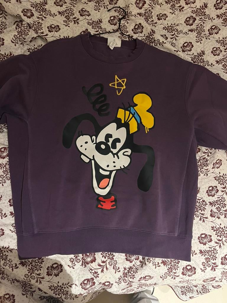 Trui Unisex, Ophalen of Verzenden, Zo goed als nieuw, Maat 48/50 (M)