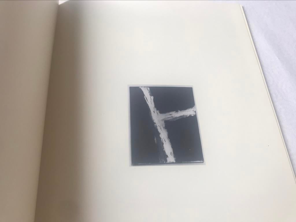 Raoul De Keyser schilderijen 50pag, Ophalen of Verzenden, Zo goed als nieuw, Schilder- en Tekenkunst
