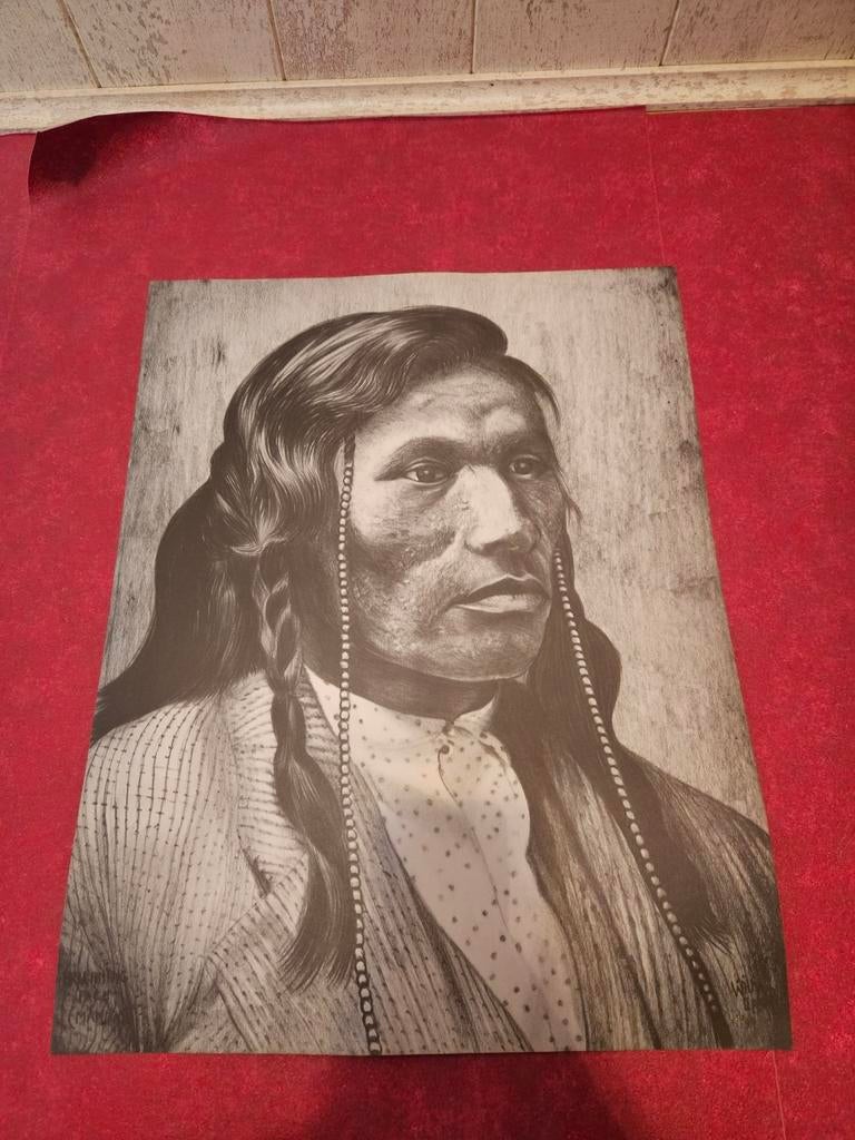 Posters indianen, Ophalen of Verzenden, Zo goed als nieuw
