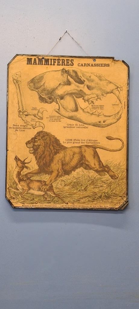 Emile Deyrolle Lithograph, Enlèvement ou Envoi