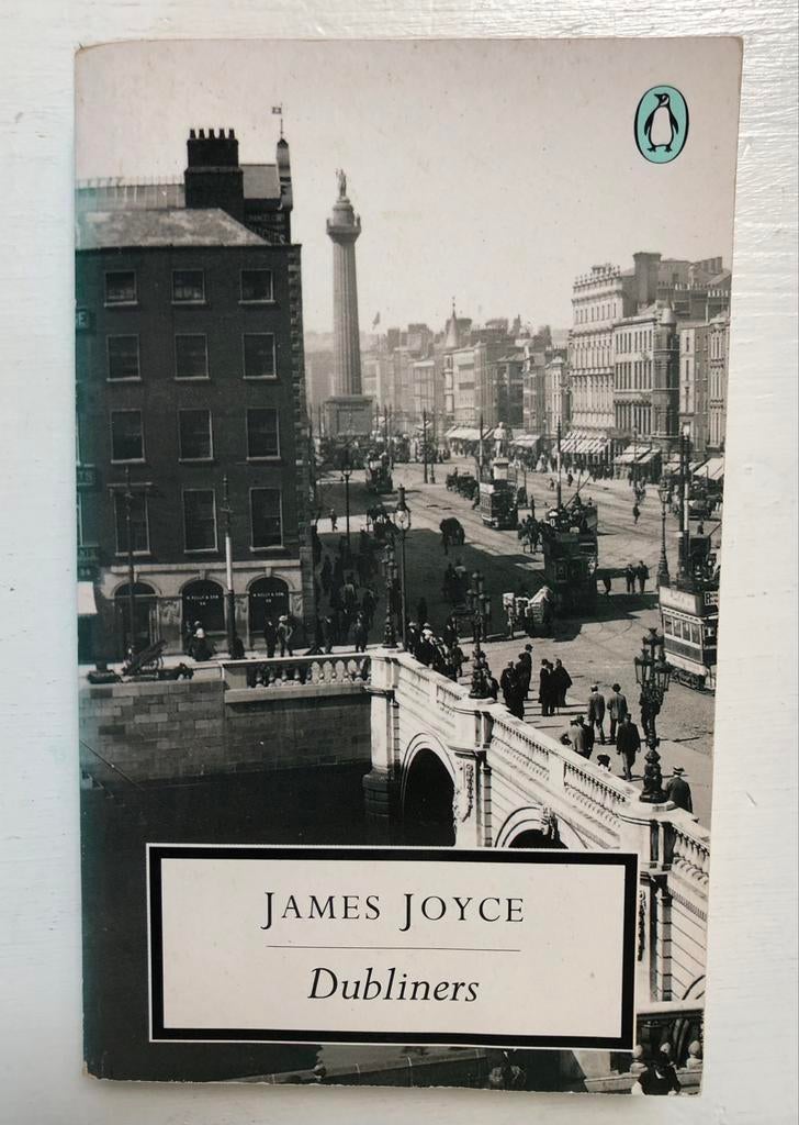 boek James Joyce Dubliners literatuur Engels, Ophalen of Verzenden, Gelezen