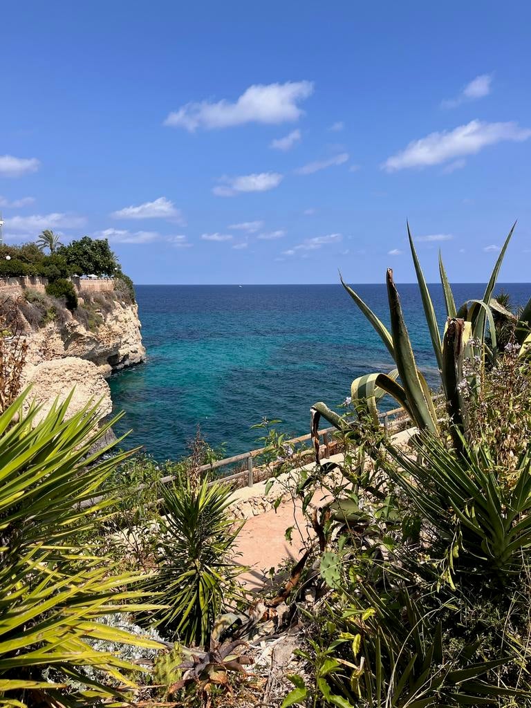 Appartement de vacances rénové avec goût à Majorque, Vacances, Maisons de vacances | Espagne, Ibiza ou Majorque, Appartement, Village