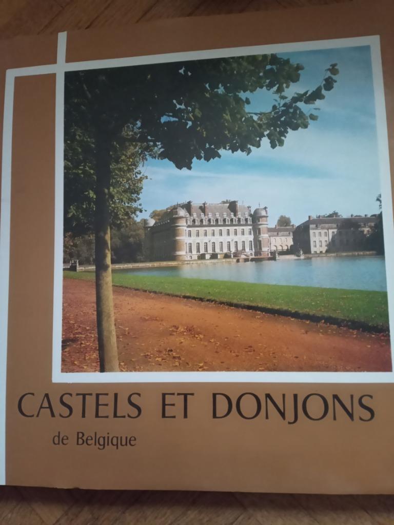 Livre castels et donjons de Belgique, Livres, Enlèvement ou Envoi