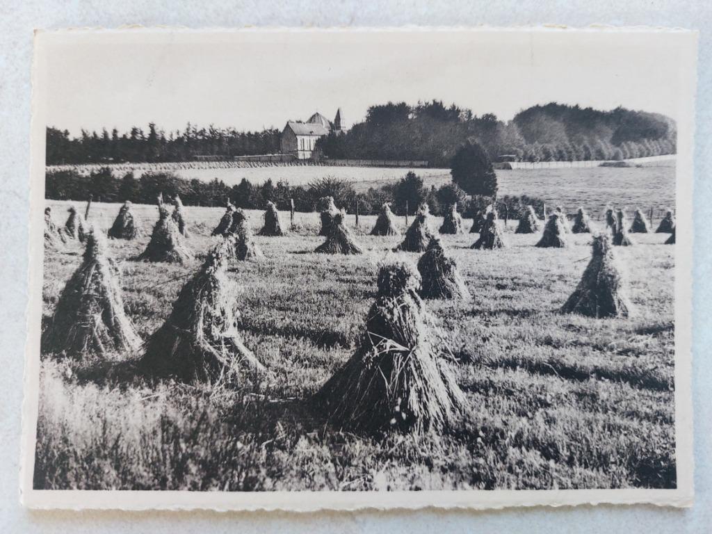 postkaart : koren/vlas/gerst/haverkapelletjes ?, Verzenden
