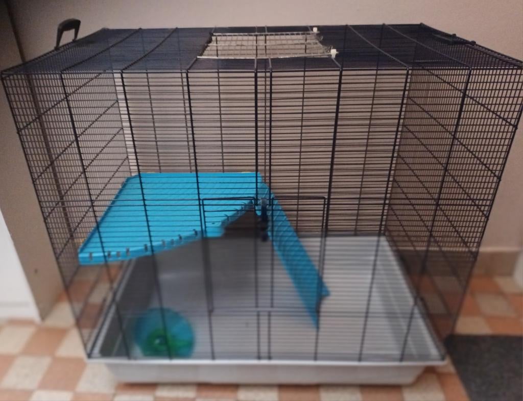 Cage pour petits rongeurs,  rats , furets en bon état, Animaux & Accessoires, Comme neuf, Cage