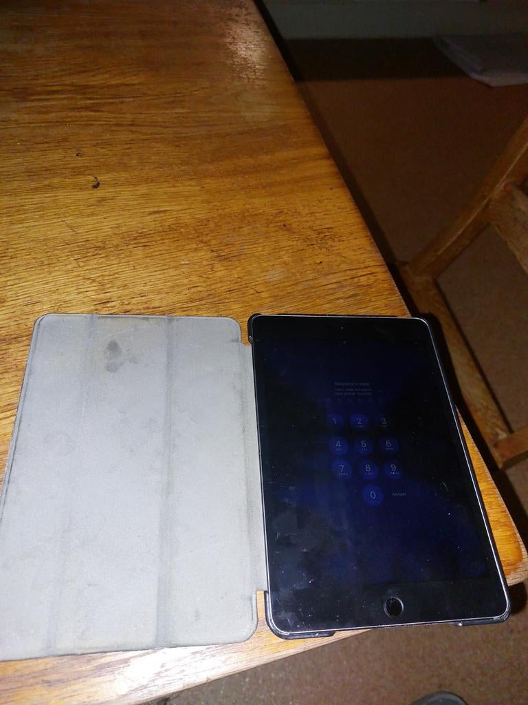 Ipad mini 4, Computers en Software, Apple iPads