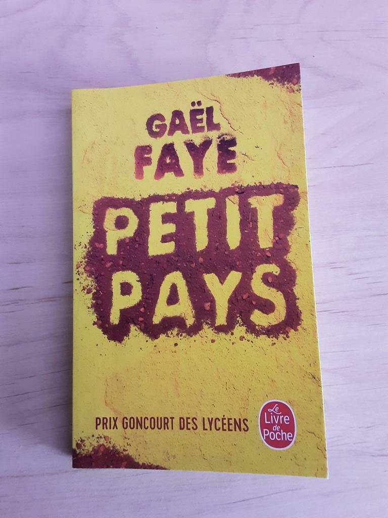 Petit pays - Gaël Faye, Livres, Enlèvement, Comme neuf