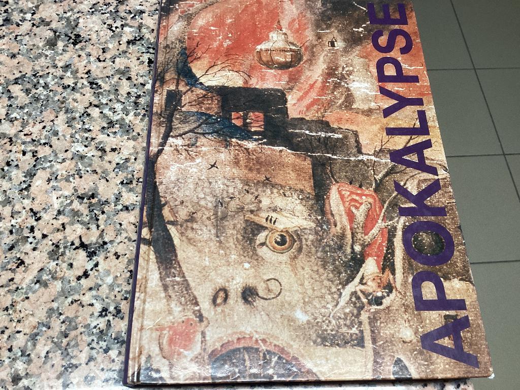 Kunstboek APOKALYPSE. Ein Principe Hoffnung ?, Enlèvement ou Envoi, Utilisé, Peinture et dessin