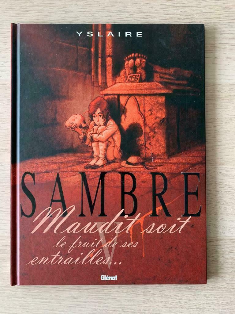 BD Sambre - maudit soit le fruit de ses entrailles..., Livres, BD, Utilisé, Une BD, Enlèvement ou Envoi
