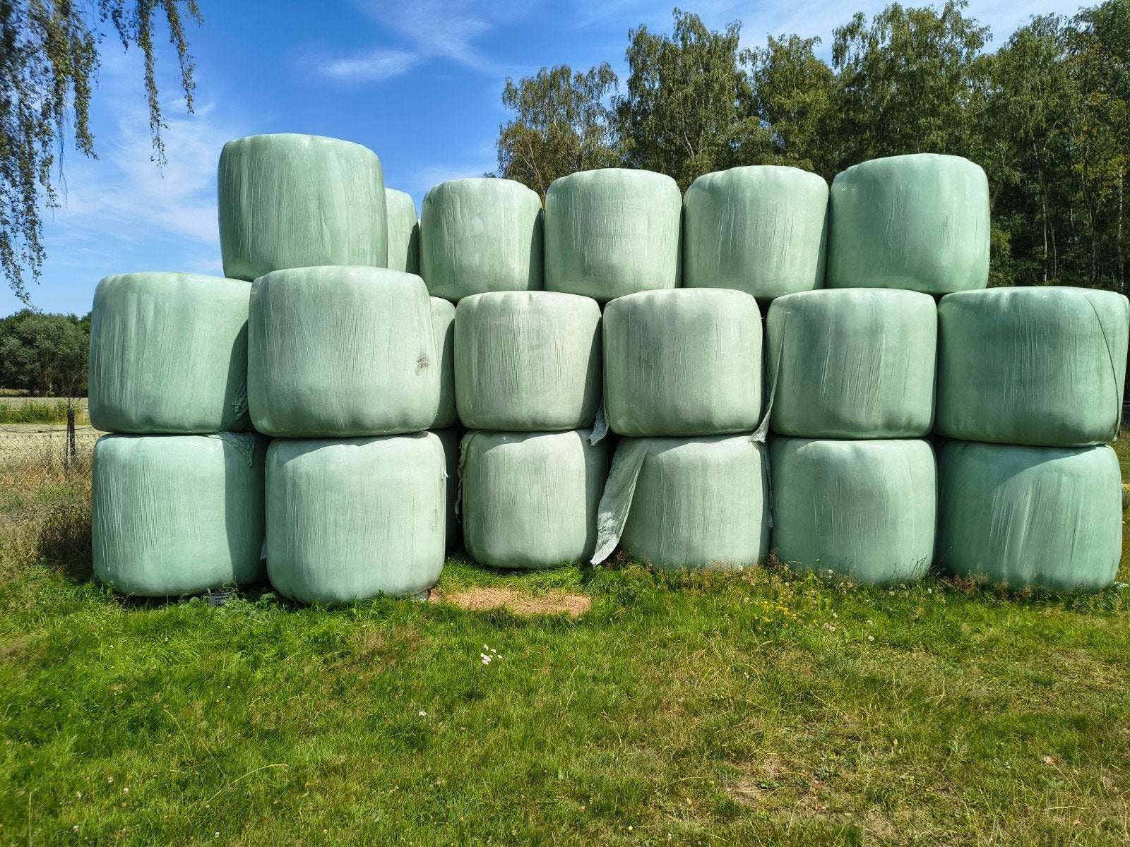 Ronde balen hooi direct voederbaar, Zakelijke goederen, Landbouw | Veevoer, Ophalen