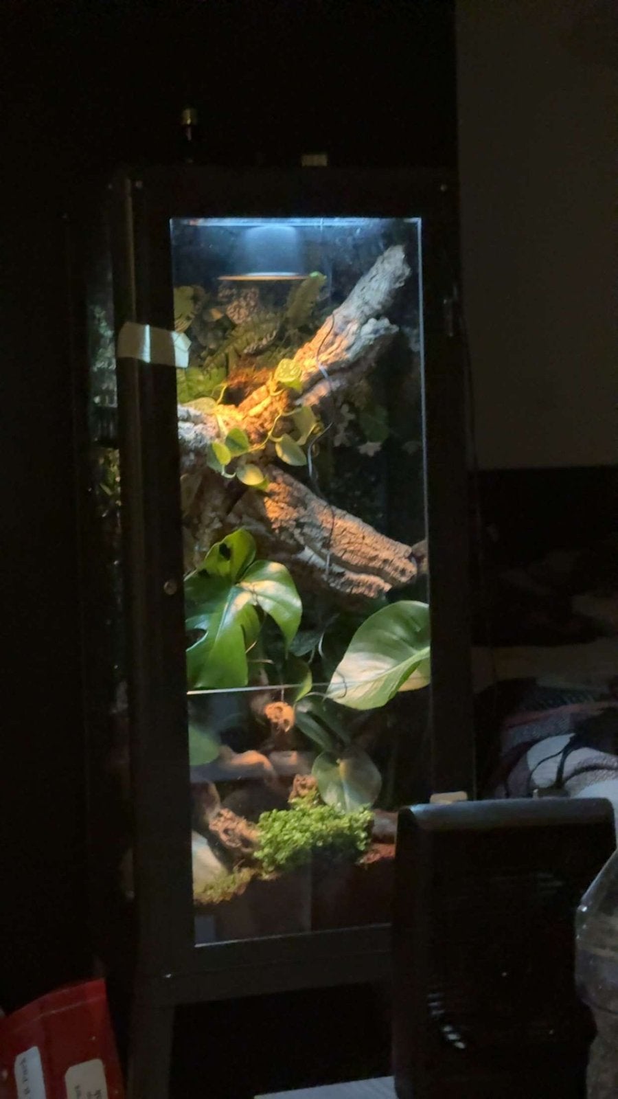 Terrarium, Ophalen, Zo goed als nieuw