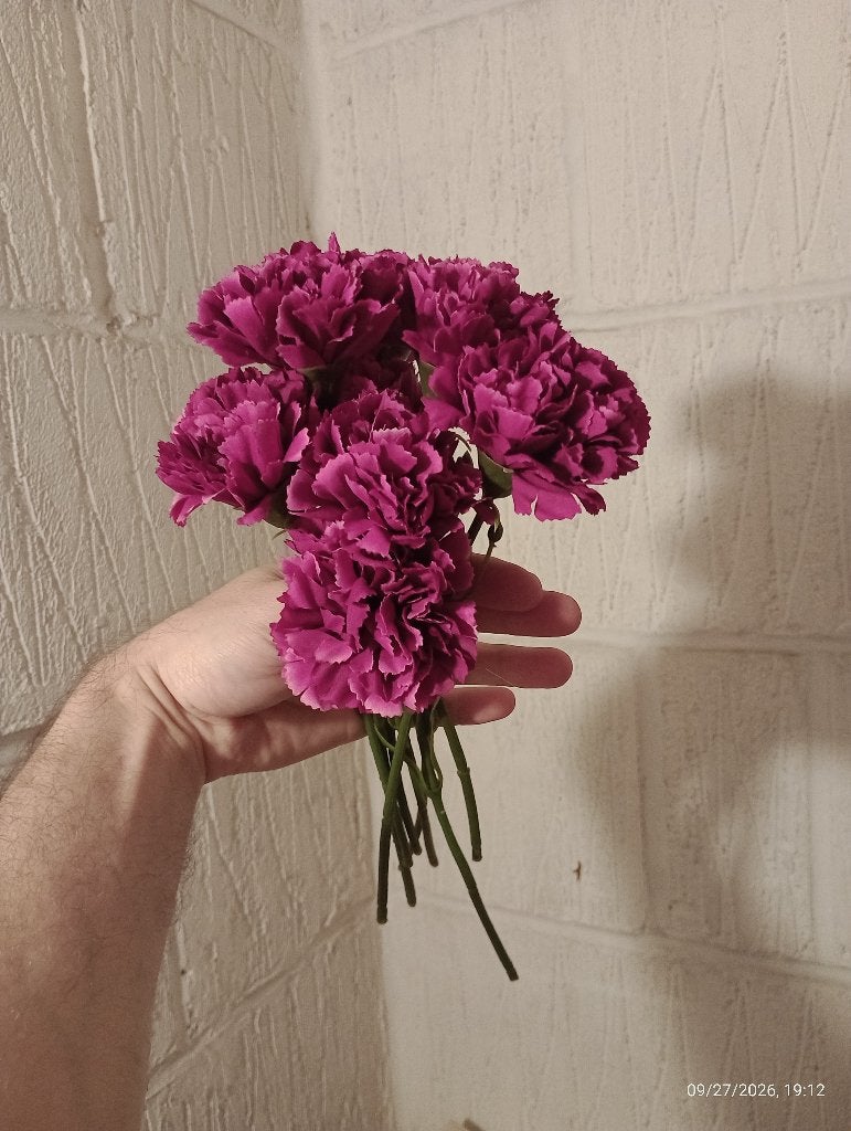 Bouquet de fleurs artificielles type œillets, Fleurs artificielles incluses, Enlèvement ou Envoi, Utilisé, Violet