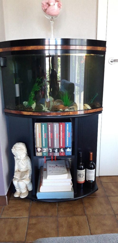 Mooi aquarium + kastje., Animaux & Accessoires, Aquarium vide, Comme neuf, Enlèvement, Pompe