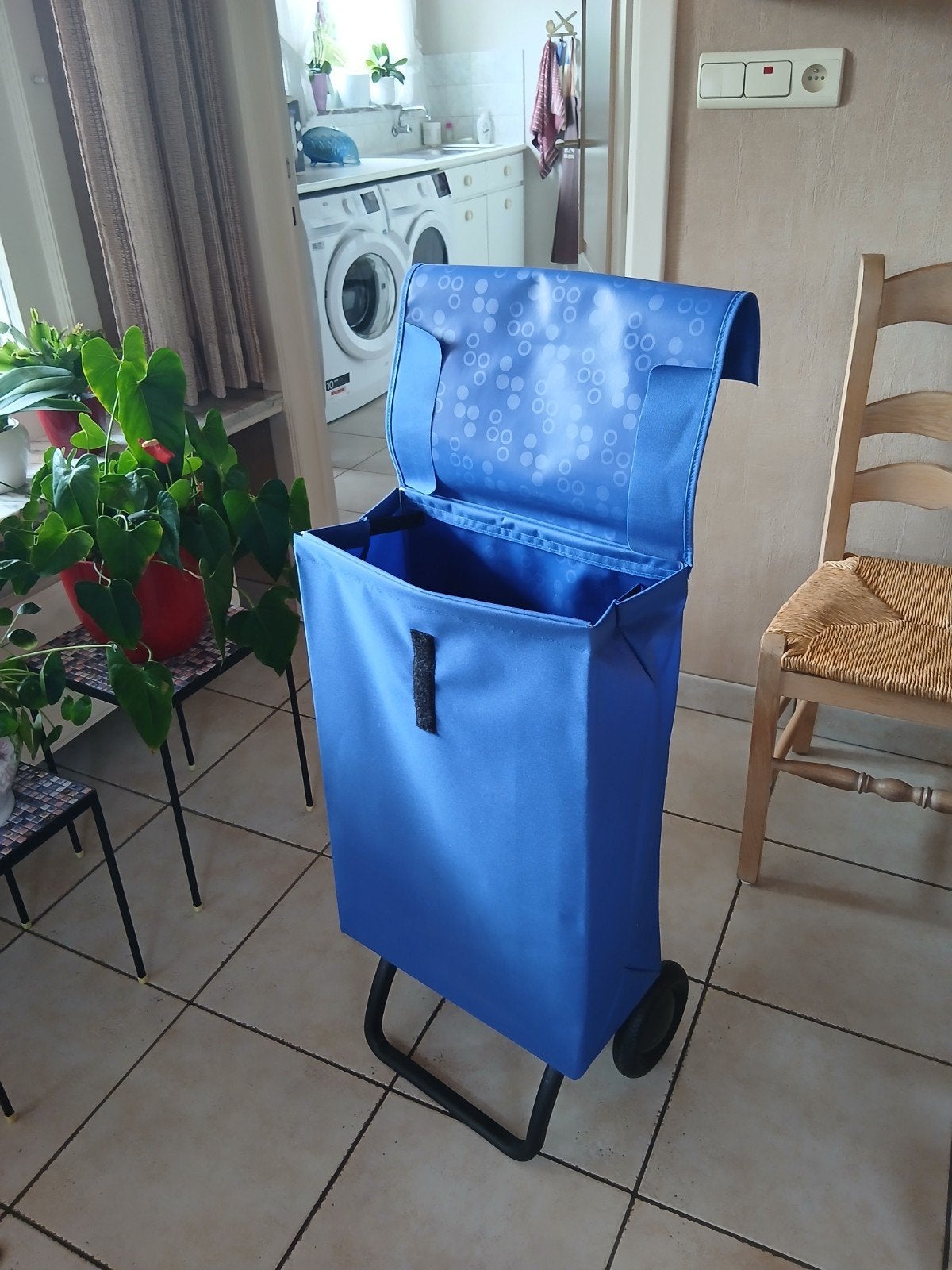 Chariot d'achat, Enlèvement