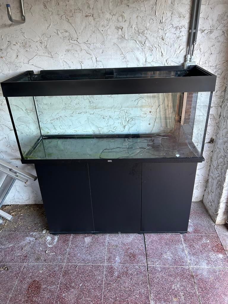 Aquarium juwel 240 liter, Ophalen, Zo goed als nieuw, Juwel