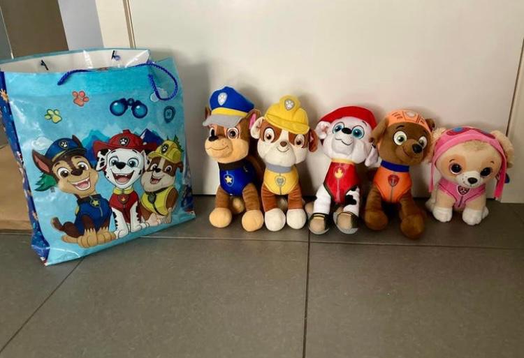 5 knuffels van Paw Patrol + zak + bowling, Kinderen en Baby's, Speelgoed | Knuffels en Pluche, Paw Patrol, Ophalen of Verzenden