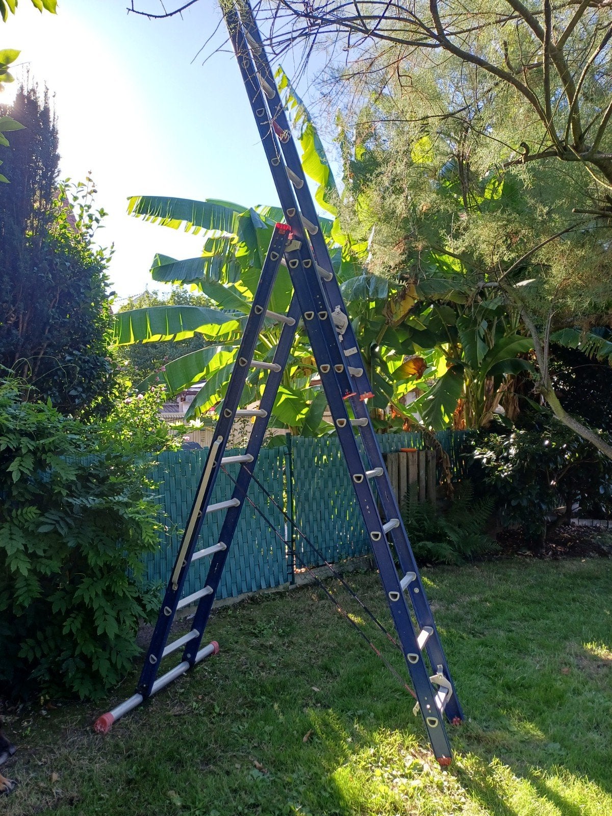 Grande échelle Altrex Hauteur max 6m40, Bricolage & Construction, Enlèvement, Utilisé, Échelle, 4 mètres ou plus