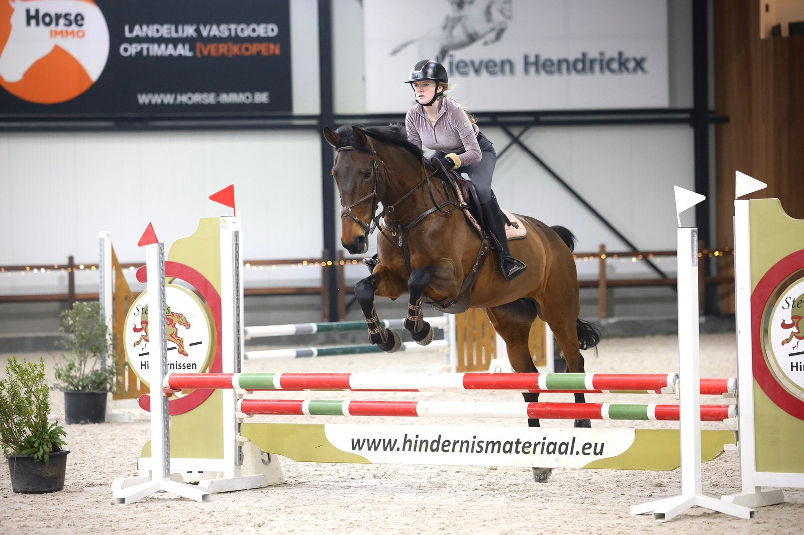 Halve stal/bijrijdpaard gezocht