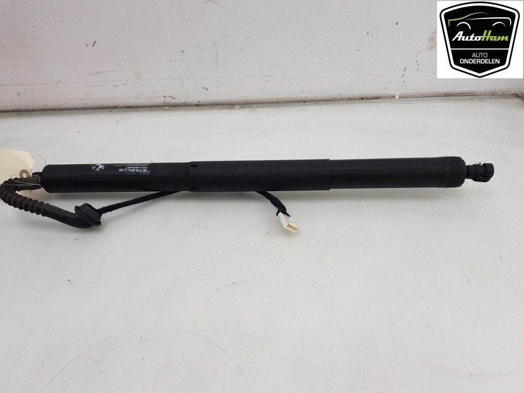MOTEUR DE HAYON BMW X5 (F15) (01-2013/07-2018), Utilisé, BMW, Haillon arrière