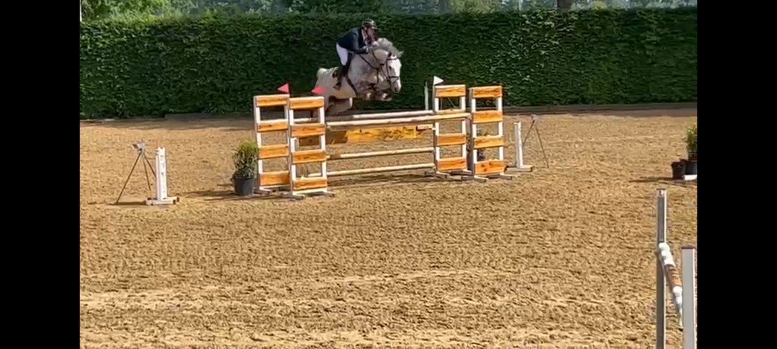 traing en zadelmak maken van paarden, Zadelmak