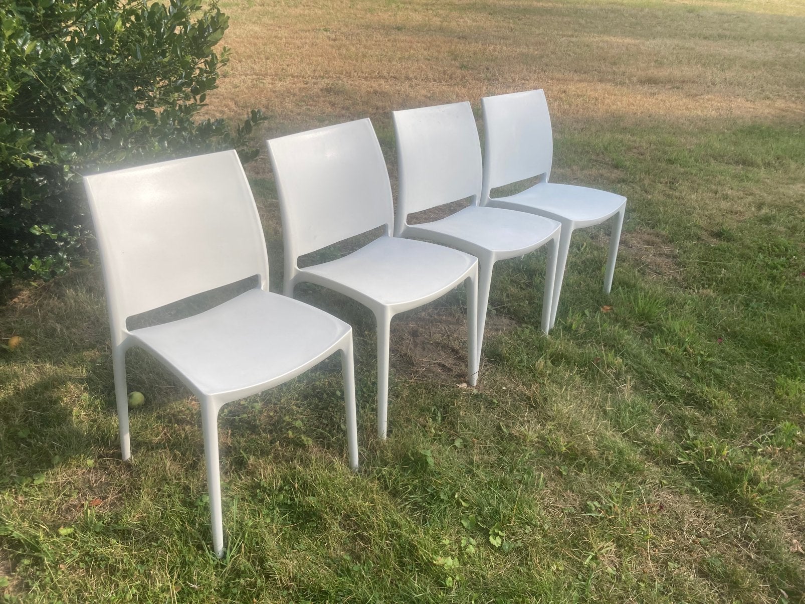 witte stoelen 36 stuks, Synthétique, Enlèvement, Blanc, Cinq, Six Chaises ou plus