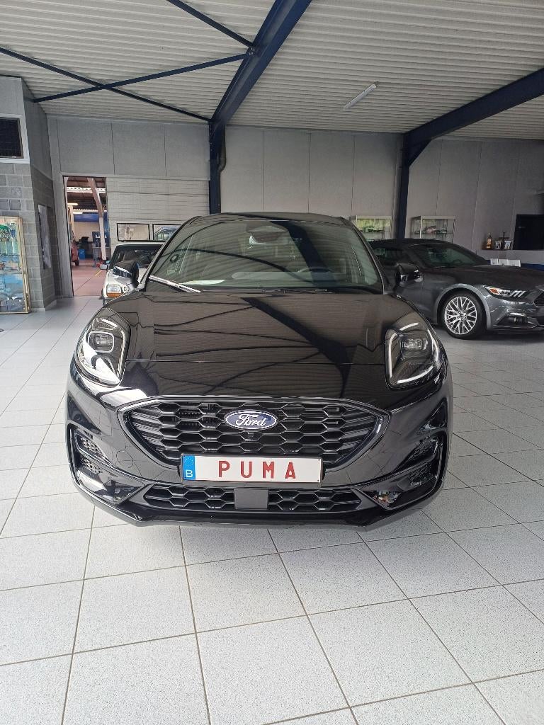 Ford Puma St-Line, Auto's, Voorwielaandrijving, Stof, Zwart, Bedrijf