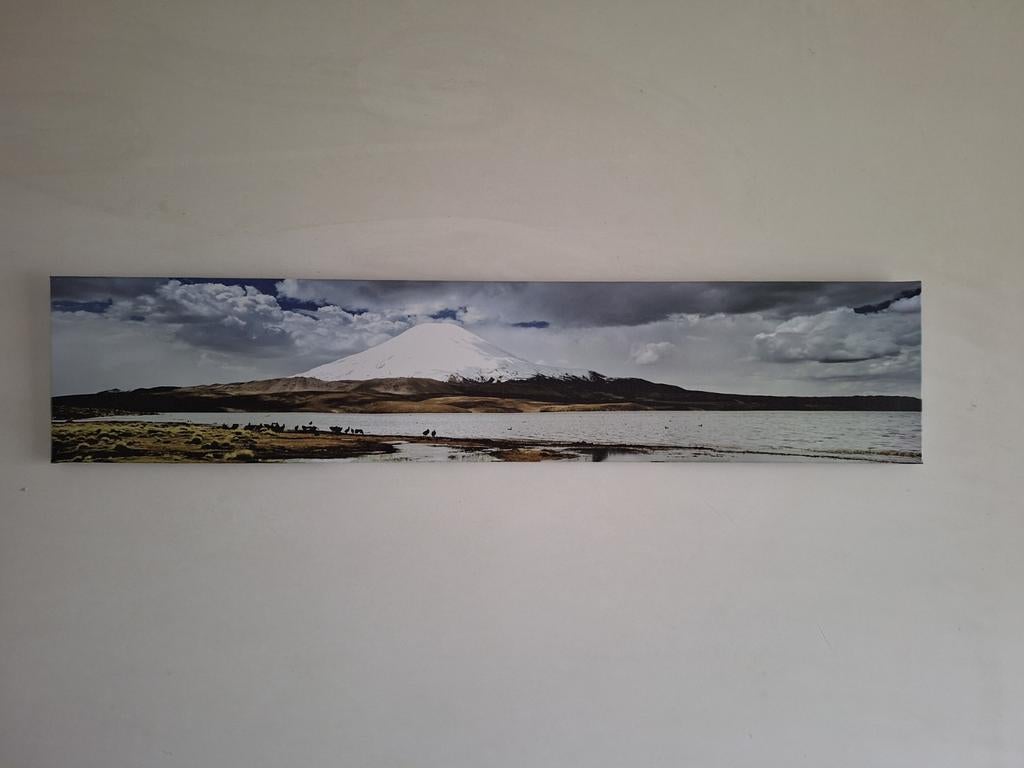 Langwerpig canvas met landschap, Ophalen
