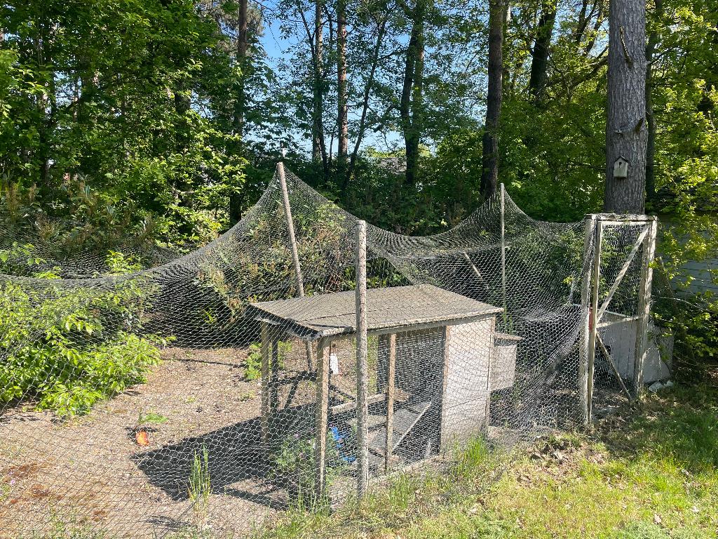 Poulailler, Animaux & Accessoires, Volatiles | Accessoires, Enlèvement, Utilisé, Poulailler