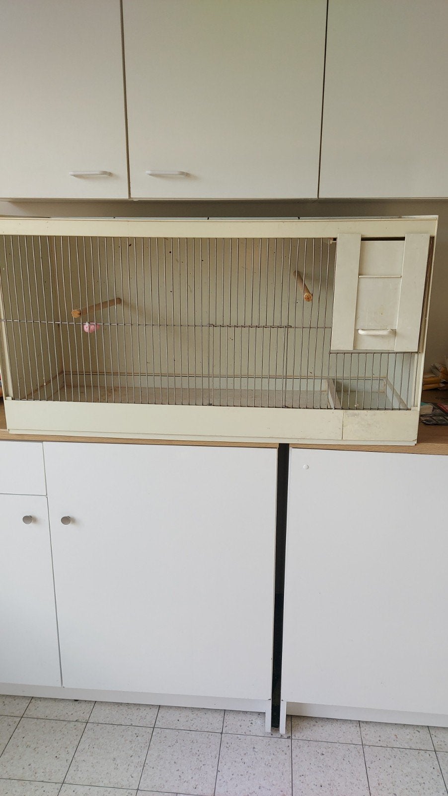 pvc kooien, Animaux & Accessoires, Oiseaux | Cages & Volières, Enlèvement, Comme neuf, Synthétique, Cage d'élevage
