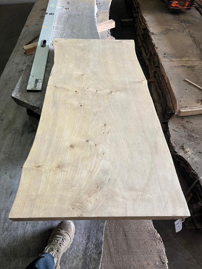 Populier boomstam plank – afgewerkt – meubeldroog, Ophalen, 25 tot 50 mm, Nieuw, Plank