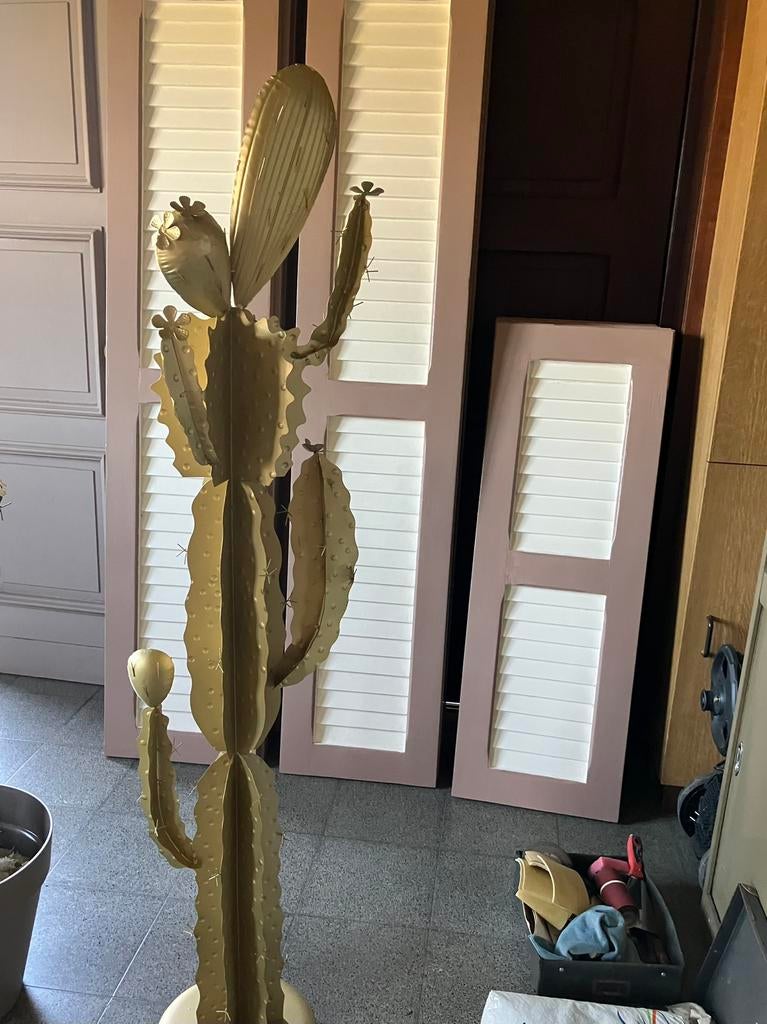 Cactus in gouden kleur, Ophalen