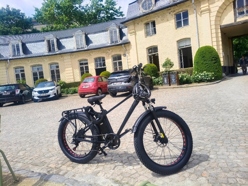 Vélo électrique, Vélos & Vélomoteurs, Vélomoteurs & Scooters bridés, Autres marques, Comme neuf, Enlèvement, Électrique