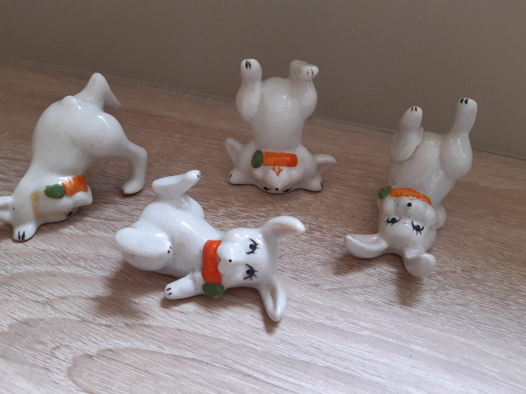 Leuke hondjes, Ophalen of Verzenden, Gebruikt, Dier