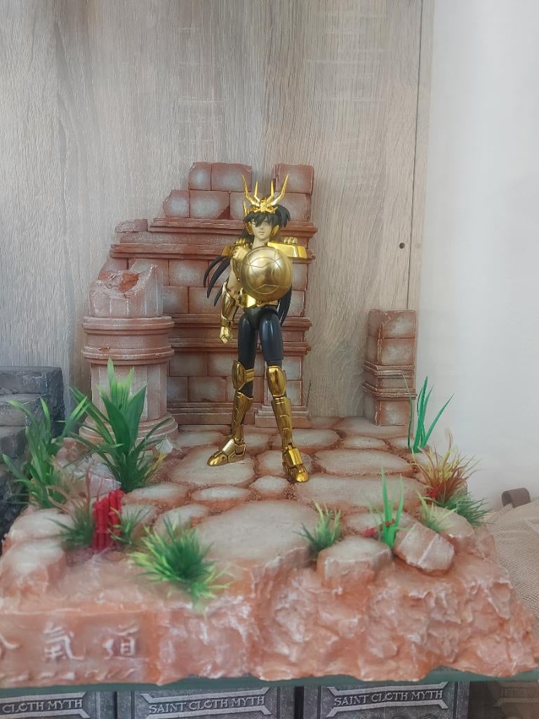 Myth cloth  saint seiya, Enlèvement, Utilisé