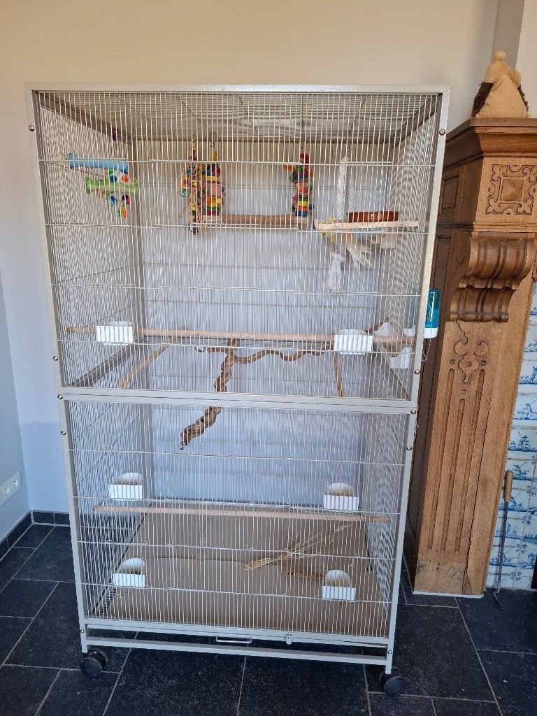 Vogelkooi, Dieren en Toebehoren, Ophalen, Nieuw, Metaal, Vogelkooi