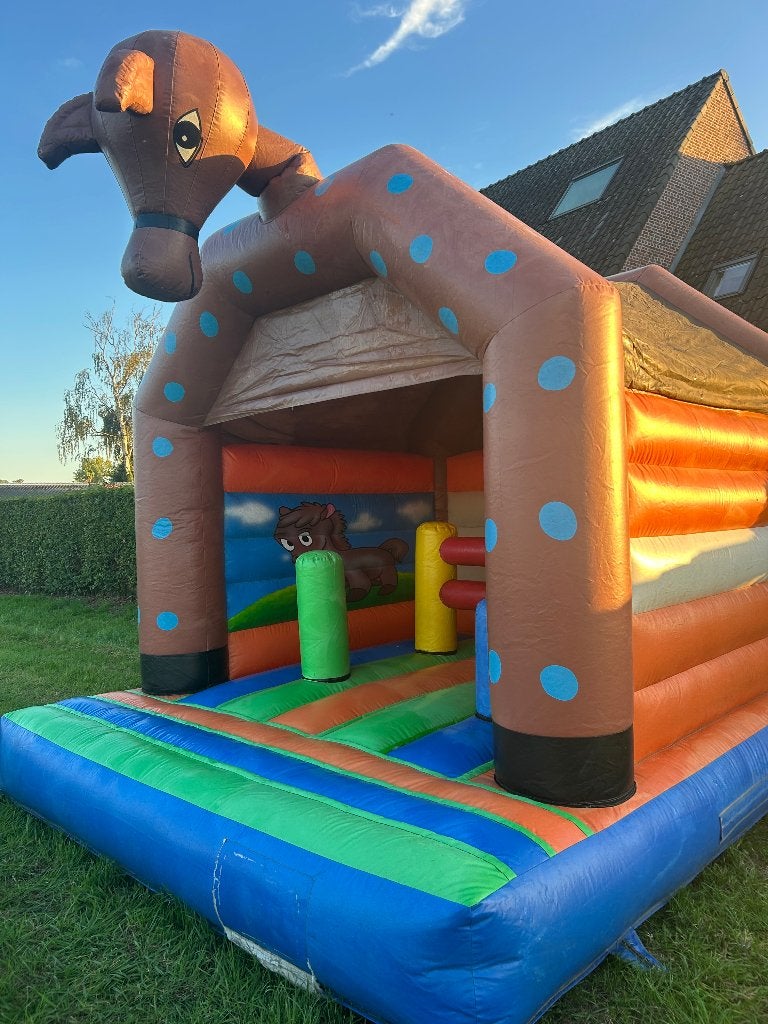 Springkasteel, Hobby en Vrije tijd, Feestartikelen | Verhuur, Ophalen, Gebruikt