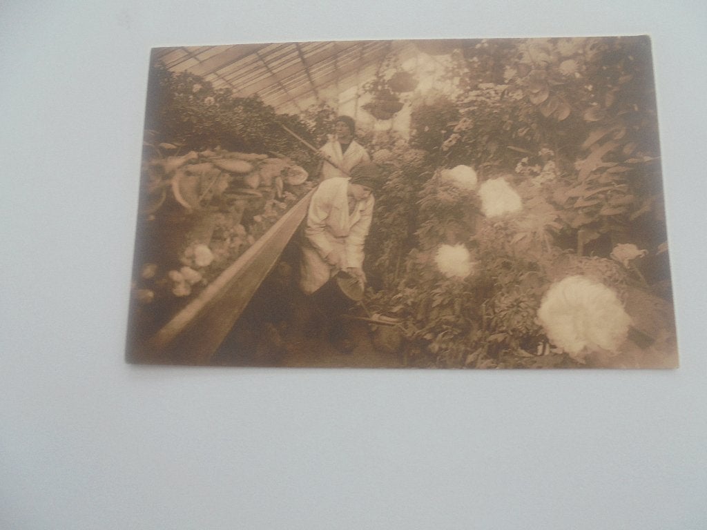 gravenwezel -tuinbouwhuishoudschool-planten verzorging, Ophalen of Verzenden, 1920 tot 1940, Gelopen, Antwerpen