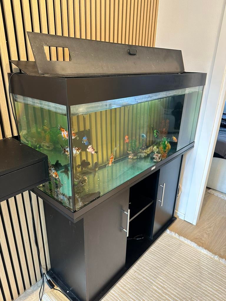 JUWEL aquarium compleet met kast — klaar voor gebruik, Ophalen, Zo goed als nieuw