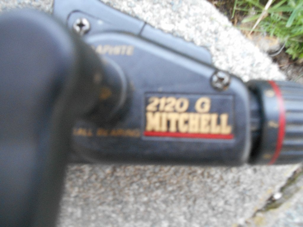 Roofvis hengel daiwa en 2120 G Mitchell molen 30 Euro, Enlèvement, Utilisé, Canne à lancer