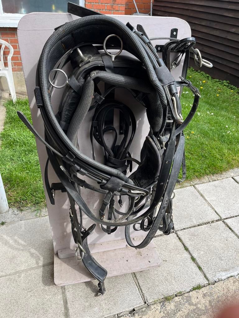 Harnais voor koets, Enlèvement, Comme neuf