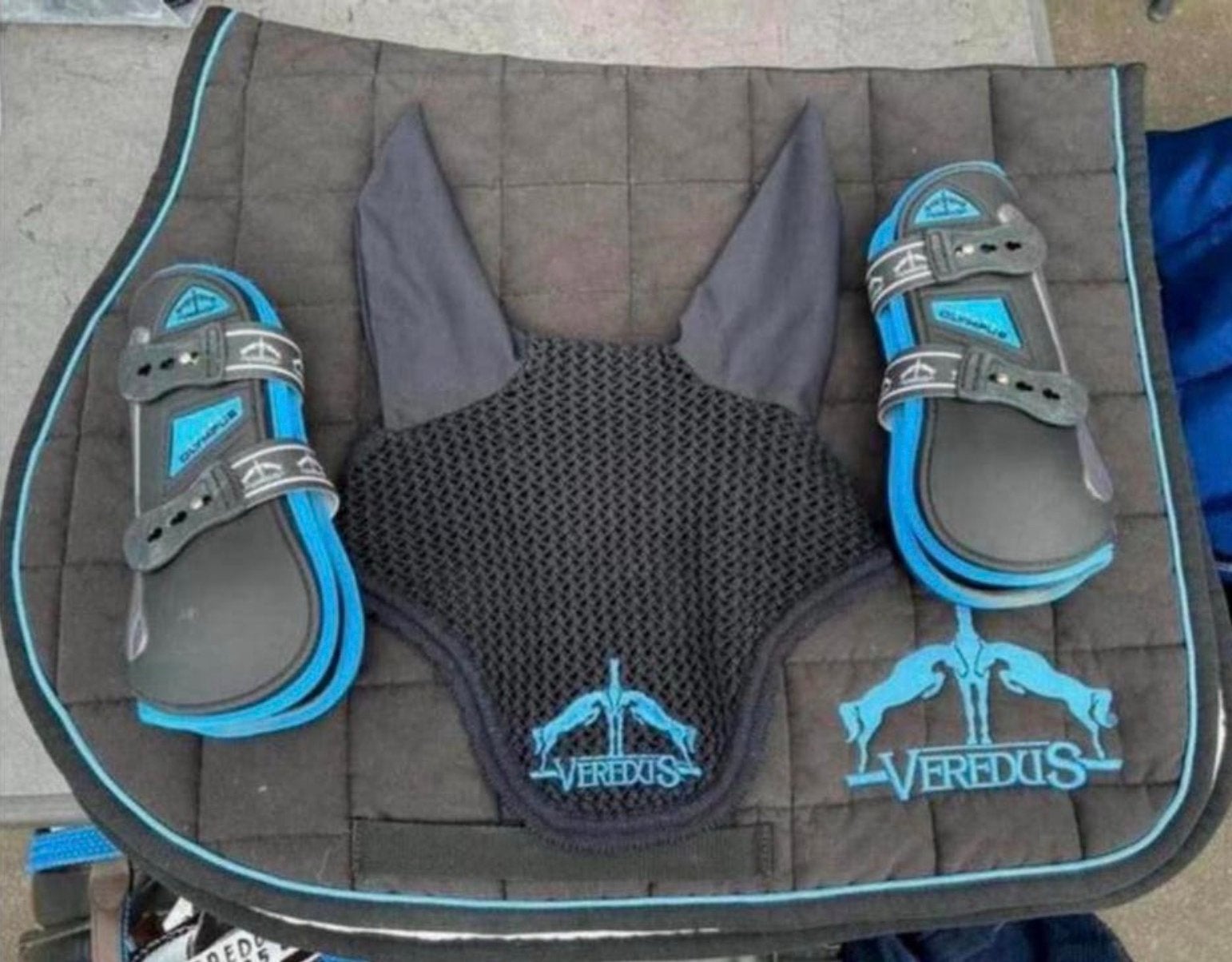Veredus Set Te Koop, Dieren en Toebehoren, Paarden en Pony's | Dekens en Dekjes, Full (L), Overige merken, Zadeldekje, Ophalen of Verzenden
