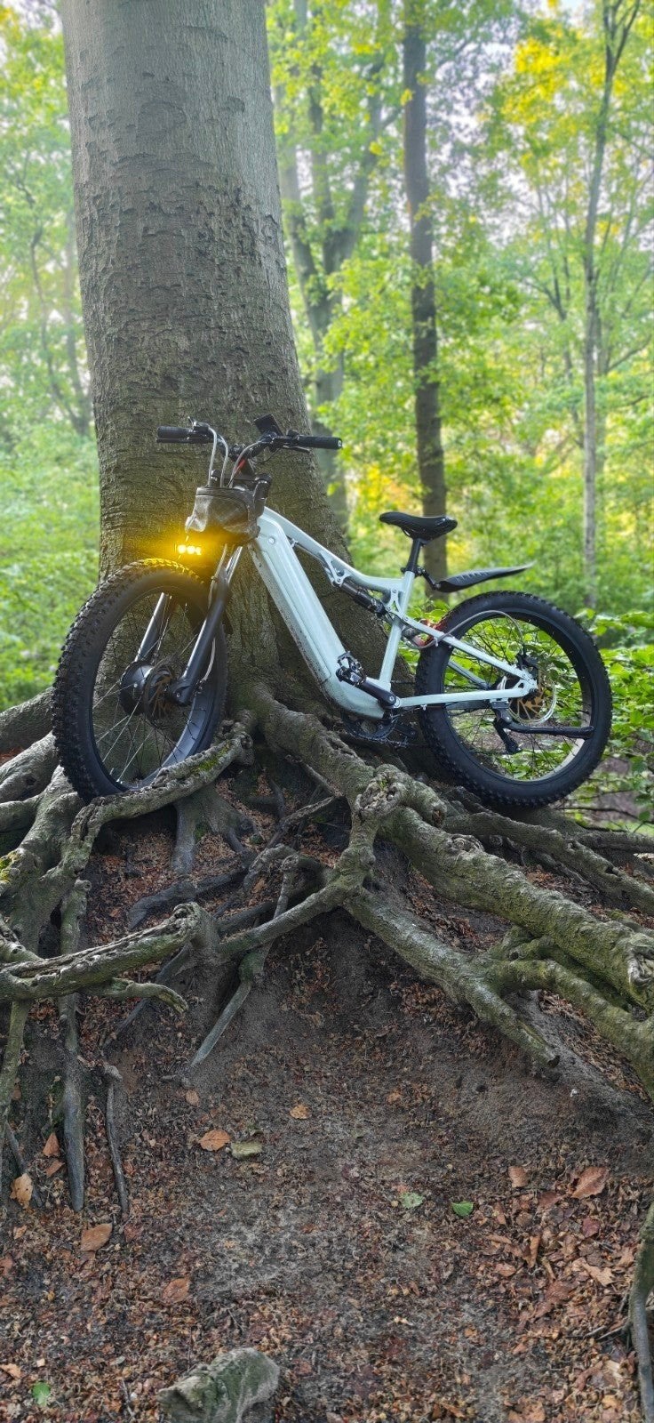 krachtige e bike, limit Ed Giant, Fietsen en Brommers, Elektrische fietsen, Ophalen, Gebruikt, 30 tot 50 km per accu, Giant