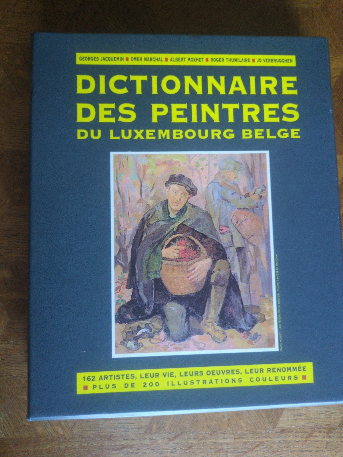 dictionnaire des peintres du Luxembourg belge, Enlèvement ou Envoi, Utilisé, Peinture et dessin
