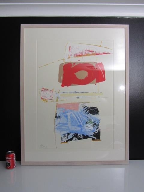 Arty Grimm - Grote (104 x80cm) genummerde litho, Antiquités & Art, Art | Peinture | Moderne, Enlèvement